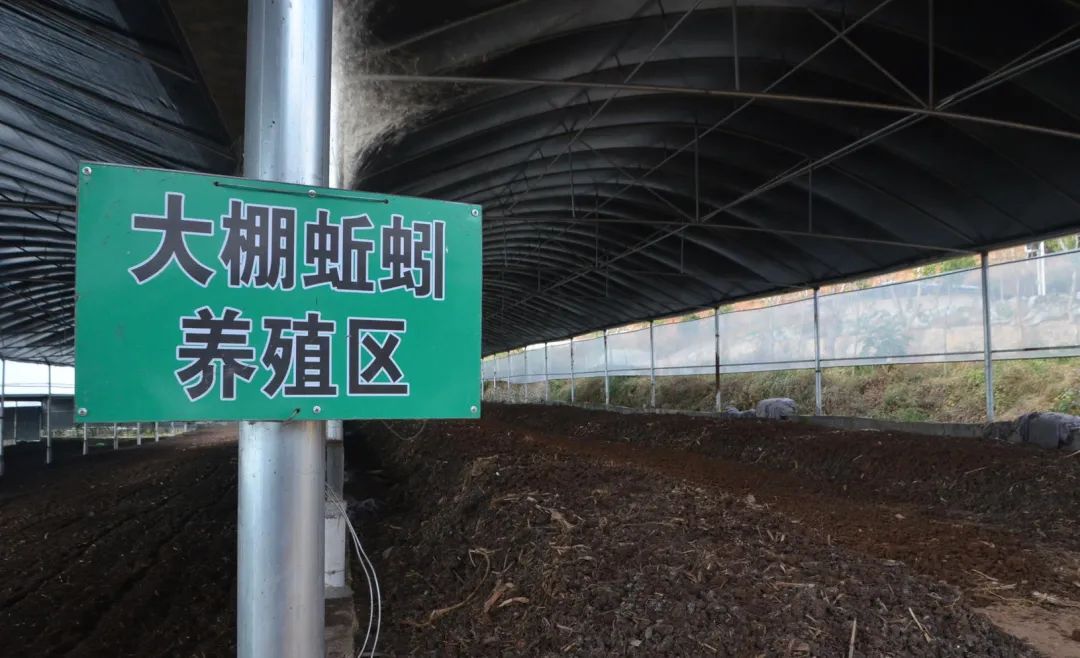 潔匠凈化·的凈工業(yè)除臭劑_的凈工業(yè)除臭劑高效治理蚯蚓養(yǎng)殖惡臭異味大、牛糞味濃